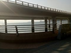 -演武大桥观景平台