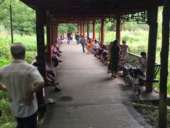 -重庆彩云湖湿地公园