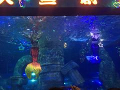 -石家庄极地海洋世界