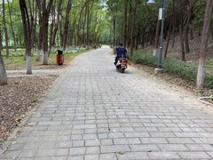 -云岗森林公园