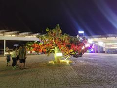 -北戴河碧螺塔海上酒吧公园