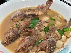 -金潮排档·金牙齿排档(广场西路店)