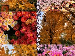 -国家植物园