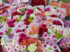 -循礼门鲜花花市(武汉循礼门店)