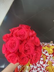 -索菲亚摄影会所