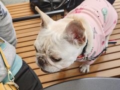 -星巴克(南宁华润幸福里店)