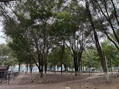 -长白岛森林公园