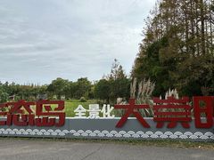 -上海长兴岛郊野公园