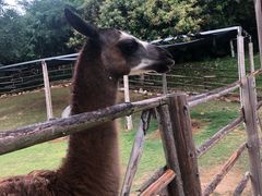 -泉州海丝野生动物世界