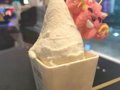 -野人先生现做冰淇淋(西安赛格店)