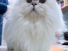 -联合动物医院(光谷诊疗中心)