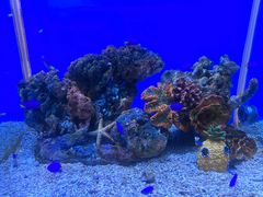 -秦皇岛新澳海底世界