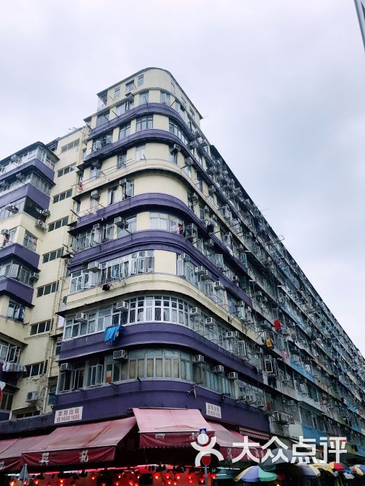 金鱼街图片 - 第9张