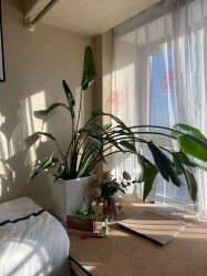 -演员的秘密·皮肤管理