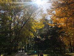 -玲珑塔公园