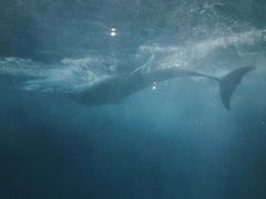 -福州罗源湾海洋世界旅游区