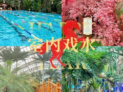 -国信南山温泉
