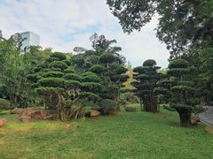 -南宁南湖公园