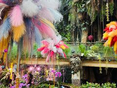 -正佳雨林生态植物园