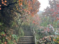 -太平万花山景区