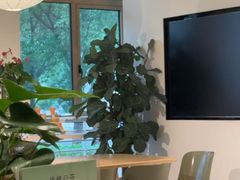 -观心实验室·心理咨询(上海旗舰店)