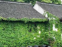 -鲁镇
