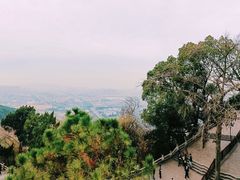 -灵岩山风景区