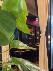 -鼎极摄影(蓝色港湾店)