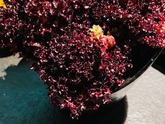 生菜-新草堂锅物料理(泉城路店)