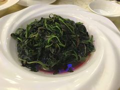 -都市阳光海鲜城(青山湖店)