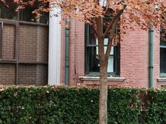 -北京动物园-畅观楼