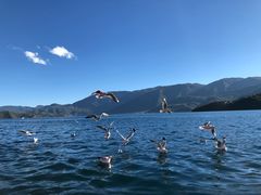 -丽江泸沽湖景区-里格半岛