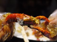 川香红油龙虾-西街夜油条·麻团包乌饭