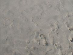 -西涌国际滨海旅游区