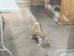 -大连森林动物园