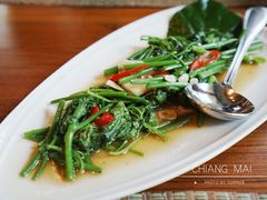 清炒丝瓜苗-Chom Cafe and Restaurant