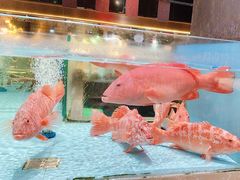 -阿伟海鲜楼·福建菜(延寿店)