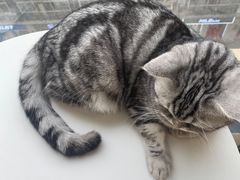 -怪兽屋·羊驼·猫咖·狗咖(俊华广场店)