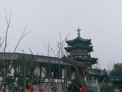 -金乌温泉公园