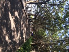 iphone_upload_pic-大湾区中央湿地公园
