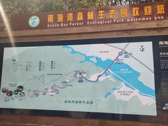 -南海湾森林生态园