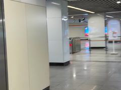 -杨高南路(地铁站)