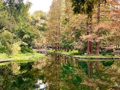 -共青国家森林公园-售票处