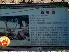 -青藏高原野生动物园