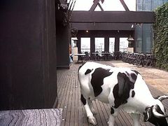 -上海外滩英迪格酒店