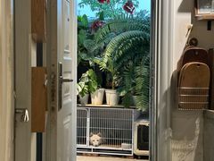 -自由生长植物工作室(深港花卉中心店)