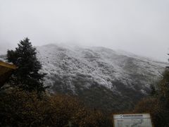 -黄龙山原始森林景区