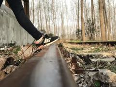 -合肥滨湖国家森林公园