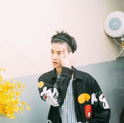 -碧莲盛·不剃发植发