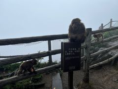 -峨眉山风景名胜区